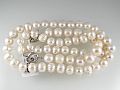 Lot 355